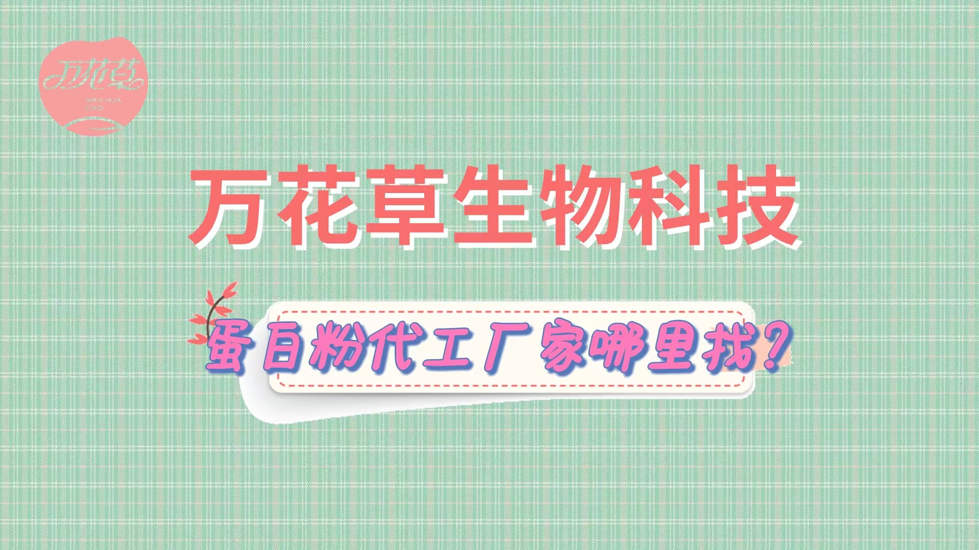 蛋白粉代加工，怎么找專業(yè)源頭廠家？