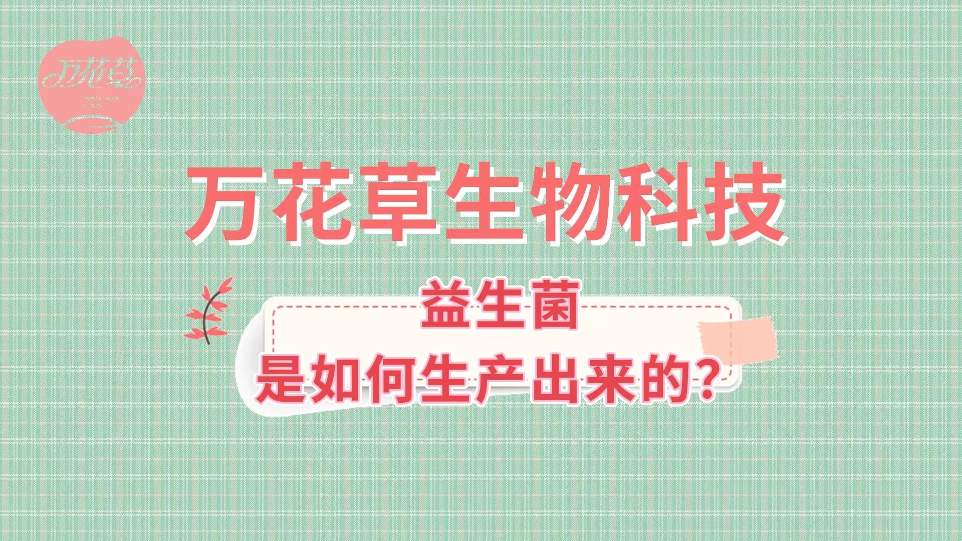 帶您了解益生菌是如何生產(chǎn)出來的,好的廠家哪里找？