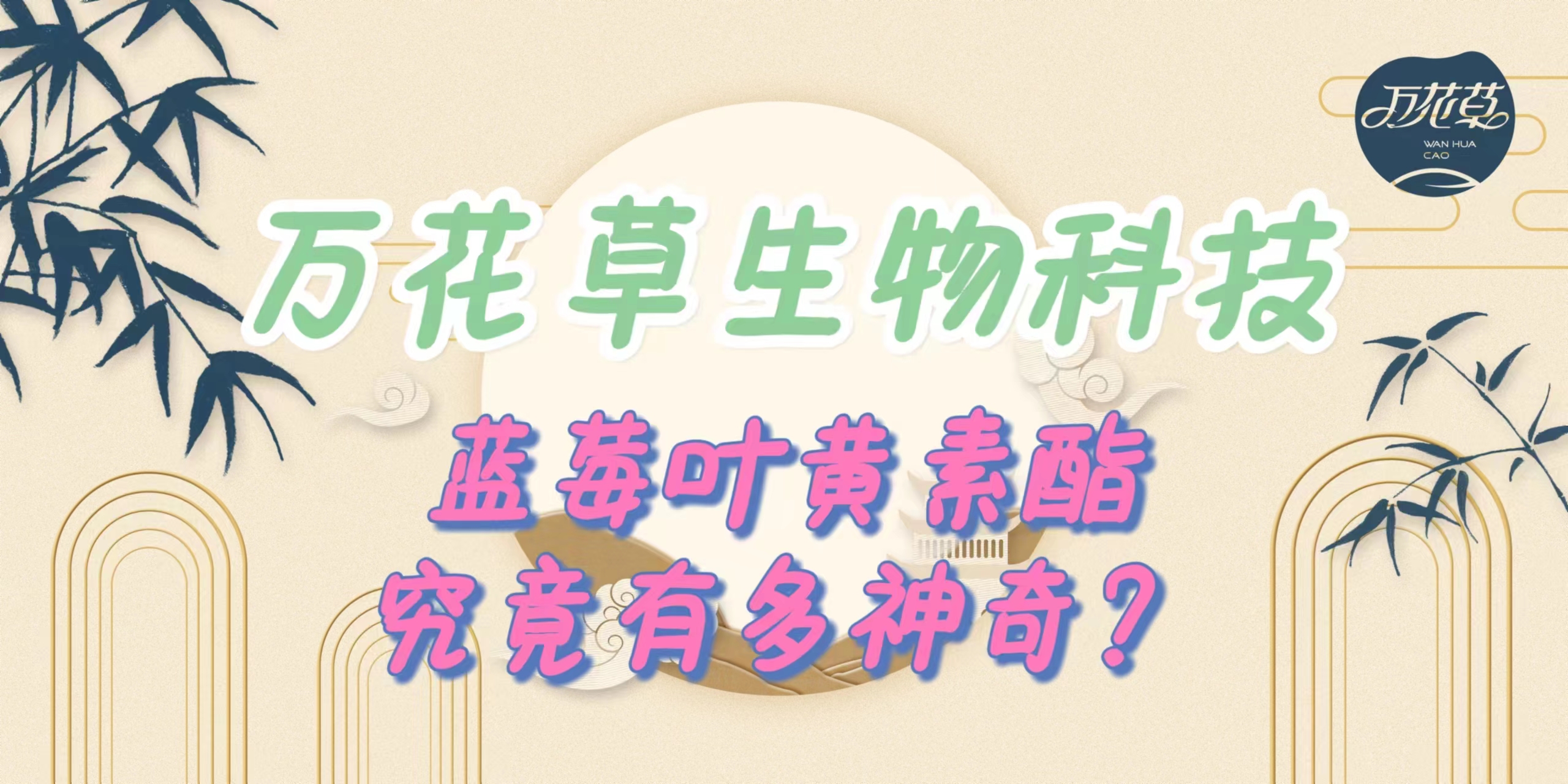 升級配方，重磅出擊，萬花草藍莓葉黃素酯究竟有多神奇？