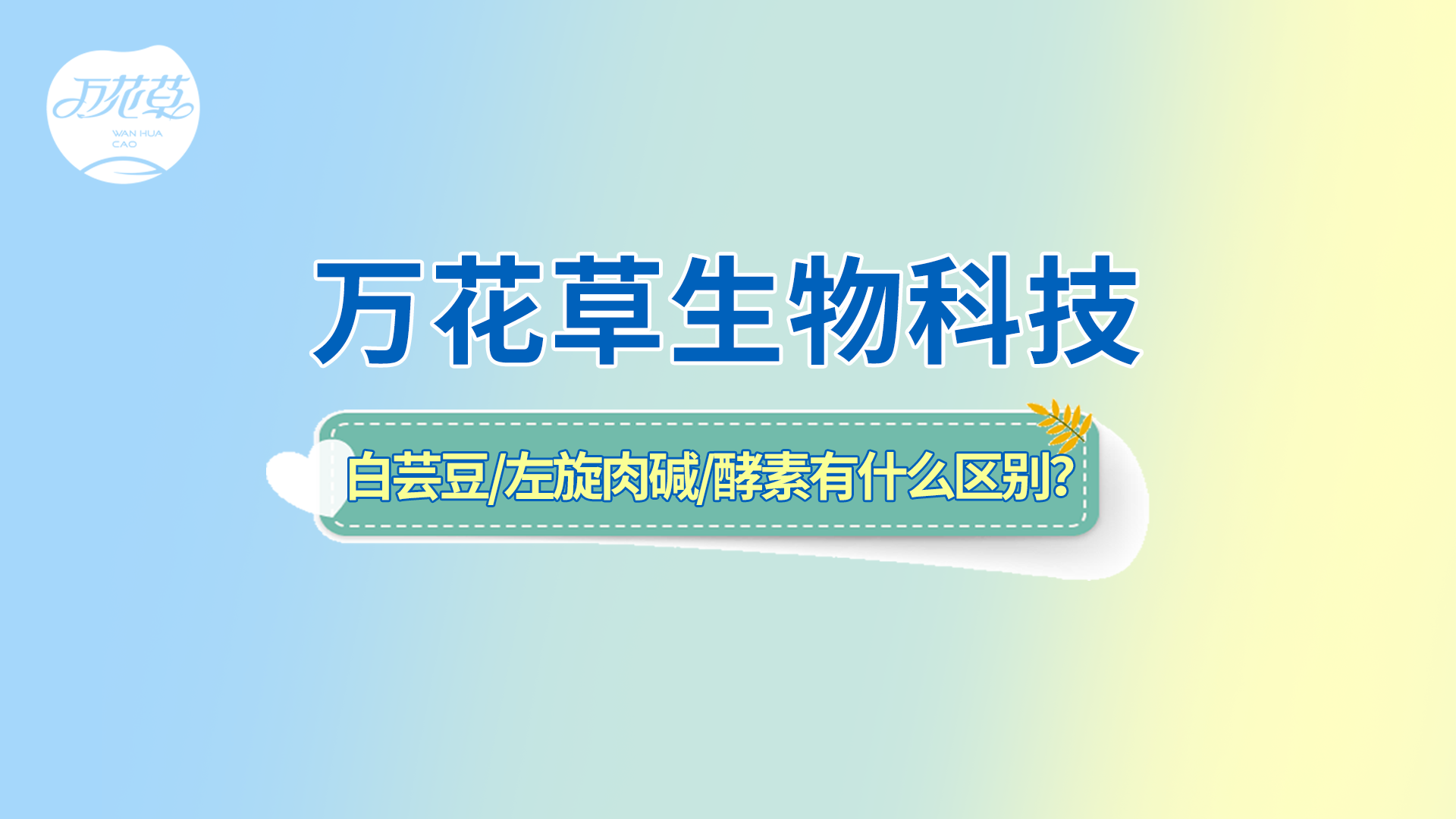 白蕓豆、左旋肉堿、嗨吃酵素有什么區(qū)別？